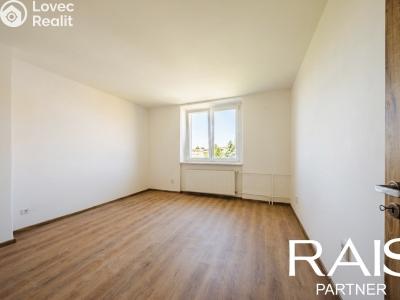 Sale apartment 2+1 Brno, Elišky Krásnohorské č. 8