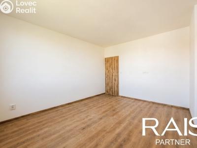 Sale apartment 2+1 Brno, Elišky Krásnohorské č. 9