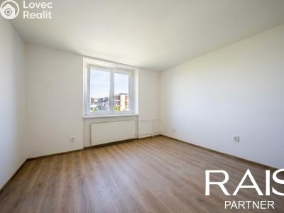 Sale apartment 2+1 Brno, Elišky Krásnohorské č. 10
