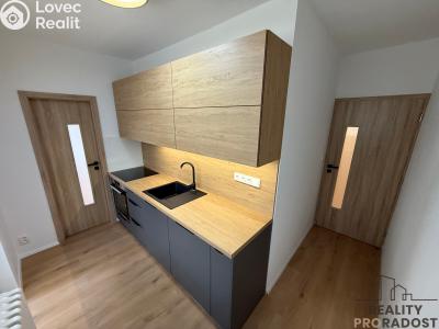 Rent apartment 2+1 Mikulov, St. Živného č. 1