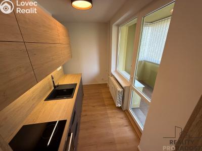 Rent apartment 2+1 Mikulov, St. Živného č. 2