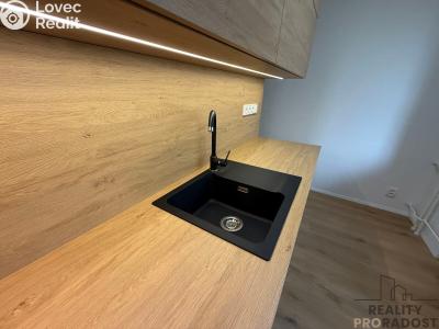 Rent apartment 2+1 Mikulov, St. Živného č. 5