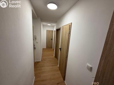Rent apartment 2+1 Mikulov, St. Živného č. 12