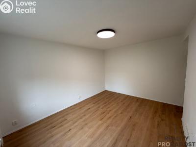 Rent apartment 2+1 Mikulov, St. Živného č. 15