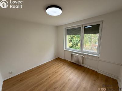 Rent apartment 2+1 Mikulov, St. Živného č. 19