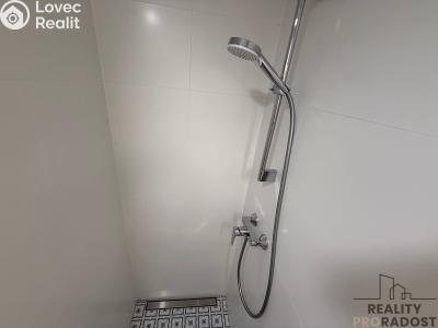 Rent apartment 2+1 Mikulov, St. Živného č. 21