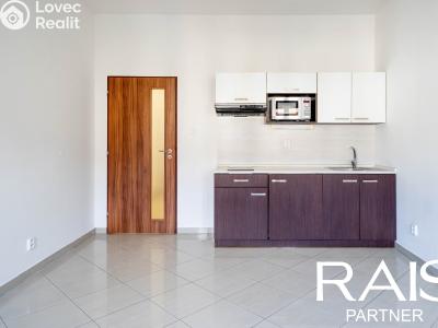 Sale apartment 1+KK Brno, Svitavská č. 6