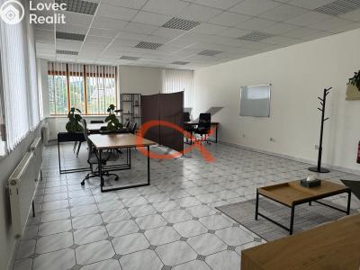Rent office space Rožnov pod Radhoštěm, Palackého č. 1