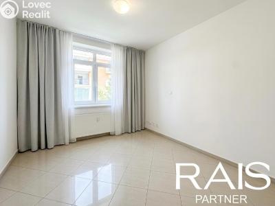 Sale apartment 1+KK Brno, Svitavská č. 2