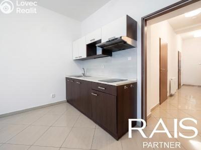 Sale apartment 1+KK Brno, Svitavská č. 3