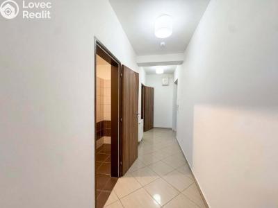 Sale apartment 1+KK Brno, Svitavská č. 7