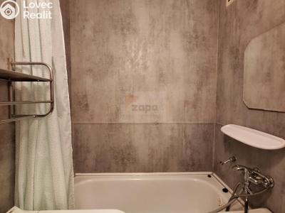 Rent apartment 2+1 Praha, Poděbradská č. 7