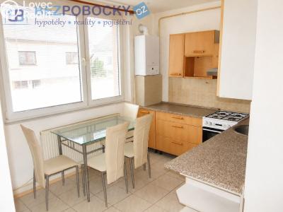 Продаж квартири 1+1 Hodice č. 2