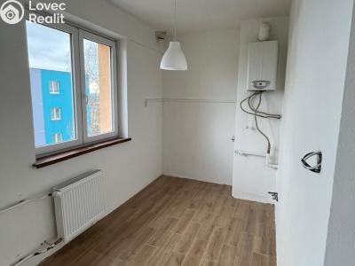 Продаж квартири 3+KK Havlíčkův Brod, Sídliště Pražská č. 6