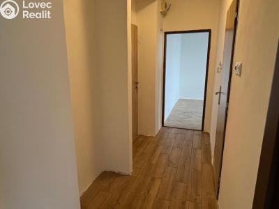 Продажа квартиры 3+KK Havlíčkův Brod, Sídliště Pražská č. 14