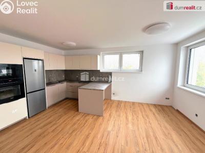 Аренда квартиры 3+KK Boršice č. 1