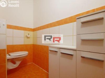 Аренда квартиры 1+1 Olomouc, I. P. Pavlova č. 5