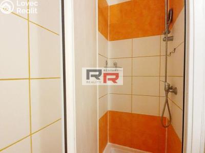 Аренда квартиры 1+1 Olomouc, I. P. Pavlova č. 6