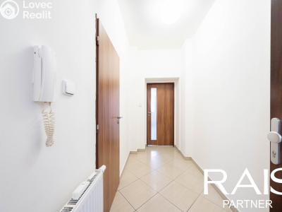 Sale apartment 1+KK Brno, Svitavská č. 4