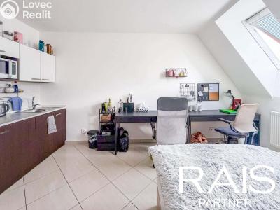 Sale apartment 1+KK Brno, Svitavská č. 6