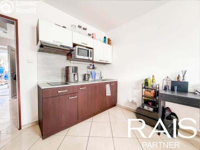 Sale apartment 1+KK Brno, Svitavská č. 9