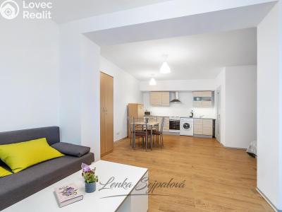 Prodej bytu 1+KK Pardubice, Hronovická 2699 č. 1