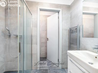 Prodej bytu 1+KK Pardubice, Hronovická 2699 č. 6