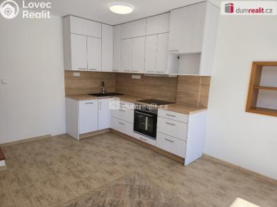 Rent apartment 3+KK Straky č. 1