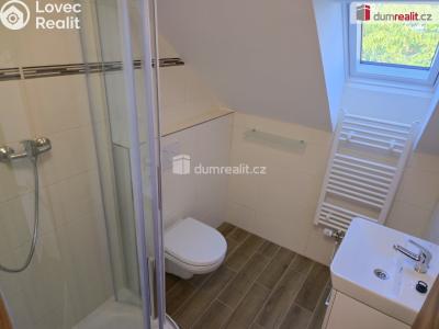 Rent apartment 3+KK Straky č. 12