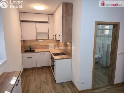 Rent apartment 3+KK Straky č. 1