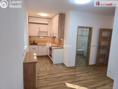 Rent apartment 3+KK Straky č. 3