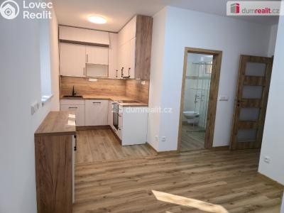 Rent apartment 3+KK Straky č. 2
