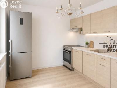 Sale apartment 1+1 Brno, Vondrákova č. 8