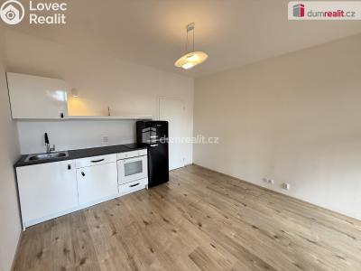Аренда квартиры 1+KK Praha 4, Budějovická č. 4
