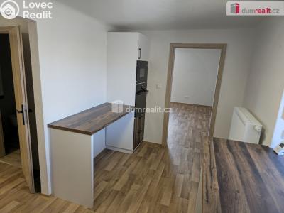 Rent apartment 3+1 Všejany, Zavadilská č. 4