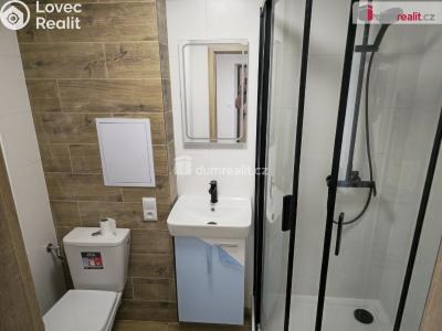 Rent apartment 3+1 Všejany, Zavadilská č. 14