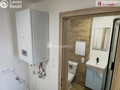 Rent apartment 3+1 Všejany, Zavadilská č. 15