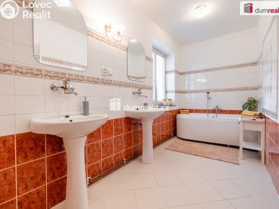 Prodej rodinného domu Mladá Boleslav, Viničná č. 19