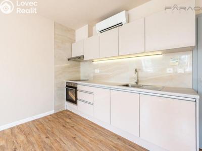 Rent apartment 1+KK Dobříš č. 3