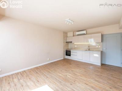 Rent apartment 1+KK Dobříš č. 5