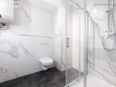 Rent apartment 1+KK Dobříš č. 6