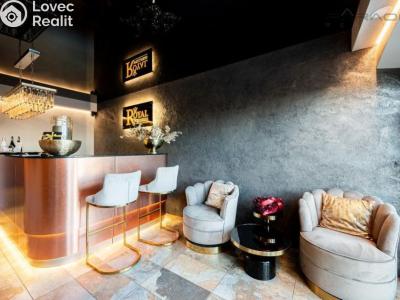 Rent apartment 1+KK Dobříš č. 7