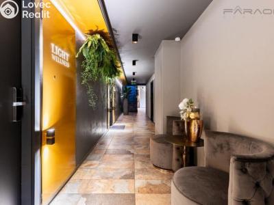Rent apartment 1+KK Dobříš č. 8