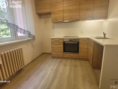 Продаж квартири 1+1 Olomouc č. 1