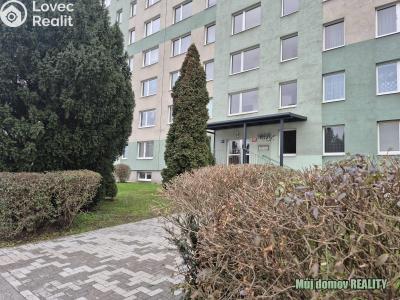 Аренда квартиры 1+1 Praha, Bachova č. 11