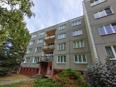 Sale apartment 1+1 Domažlice, Mánesova č. 1