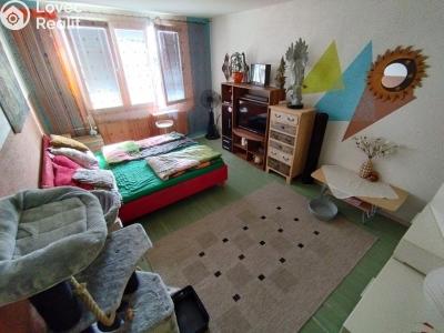 Sale apartment 1+1 Domažlice, Mánesova č. 3