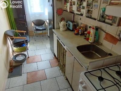 Sale apartment 1+1 Domažlice, Mánesova č. 7