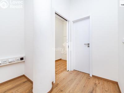 Pronájem kanceláře Praha 10, Smolenská č. 13