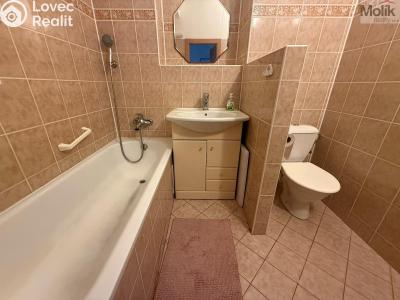 Rent apartment 1+1 Most, tř. Budovatelů č. 10